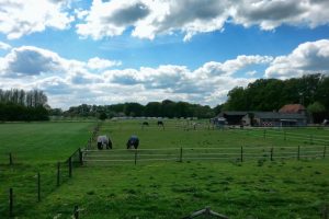 Veel campings op Veluwe en in de Achterhoek op slot