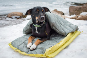 "DoggyBag"-slaapzak voor honden